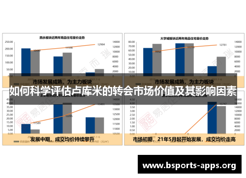 如何科学评估卢库米的转会市场价值及其影响因素