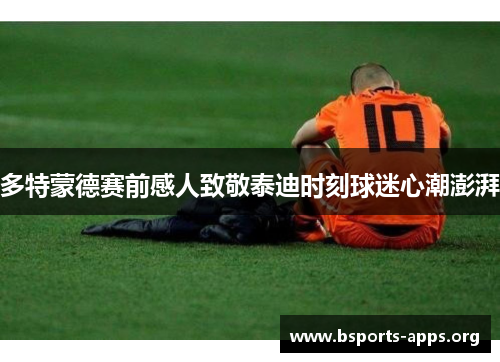 多特蒙德赛前感人致敬泰迪时刻球迷心潮澎湃