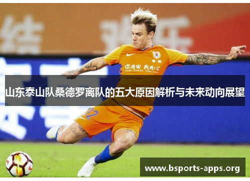 山东泰山队桑德罗离队的五大原因解析与未来动向展望 山东泰山队桑德罗离队的五大原因解析与未来动向展望