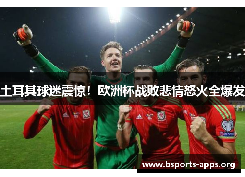 土耳其球迷震惊！欧洲杯战败悲情怒火全爆发