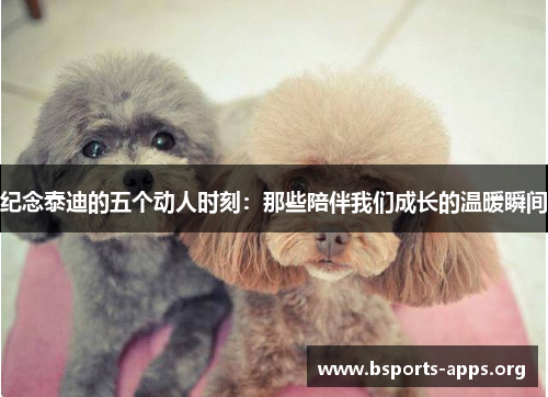 纪念泰迪的五个动人时刻：那些陪伴我们成长的温暖瞬间